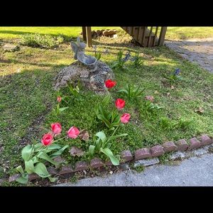 Meet your Posher, Esmeralda